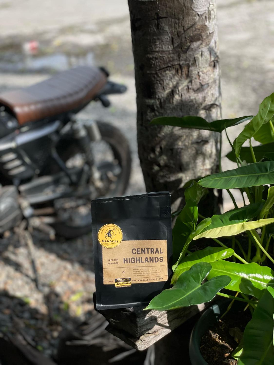 Central Highlands 200G