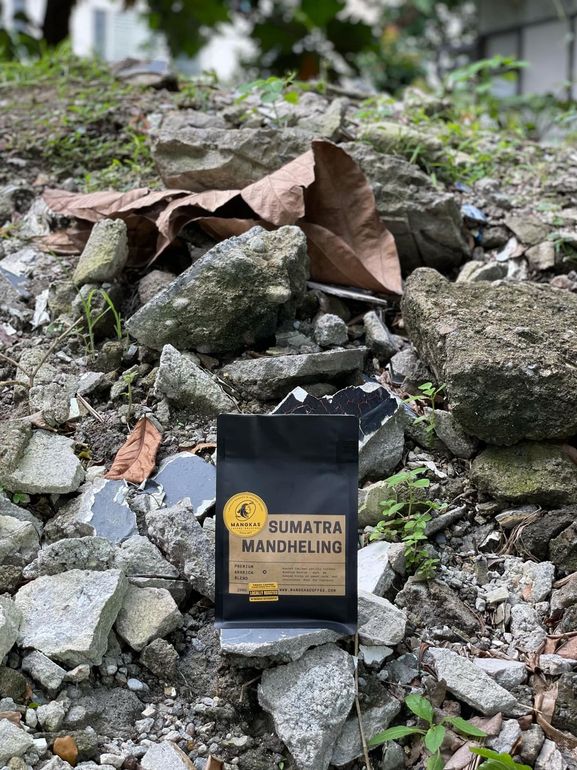 Sumatra Mandheling 200G