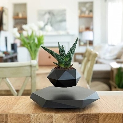 Floating Plant