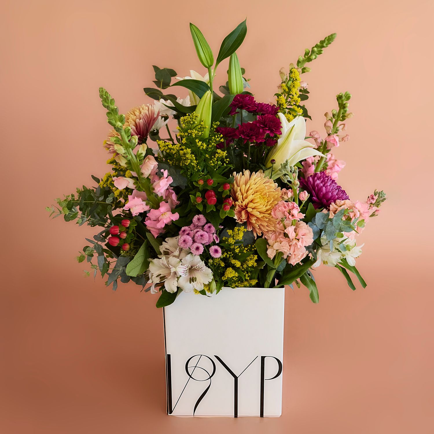 Bloom Box Color