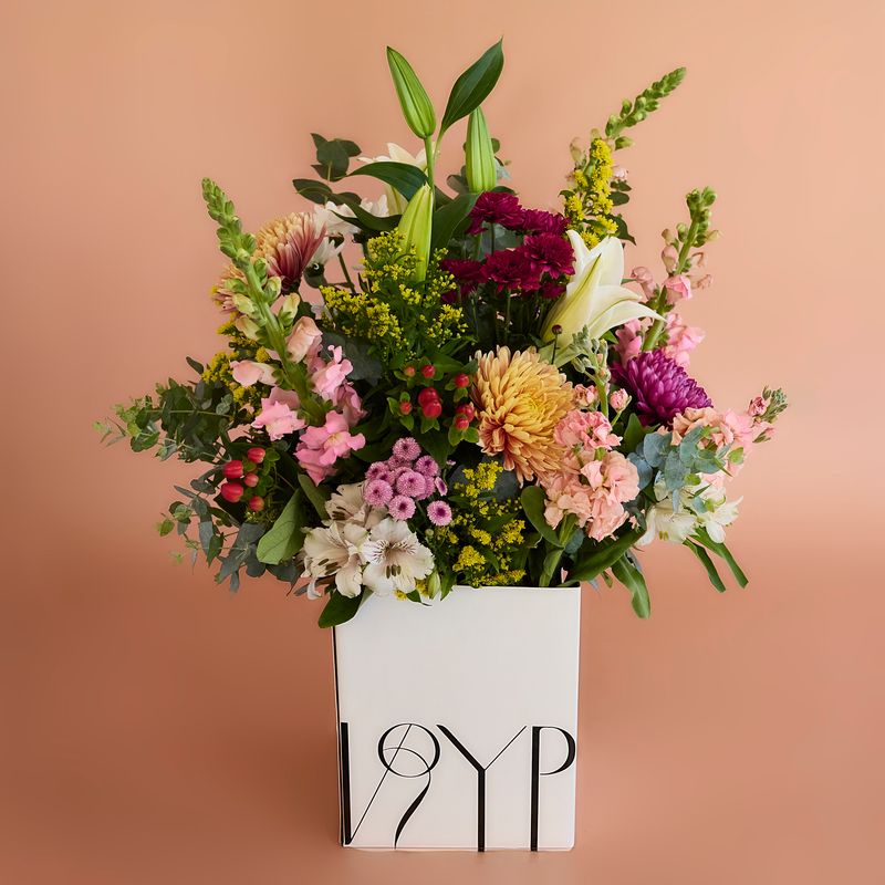 Bloom Box Color