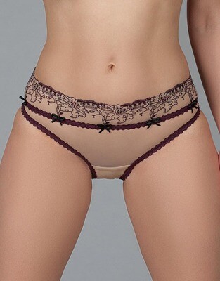 Embroidered Sheer Brief Panty
