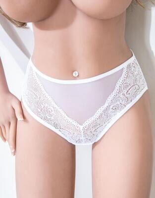 Mesh and Lace Brief Panty