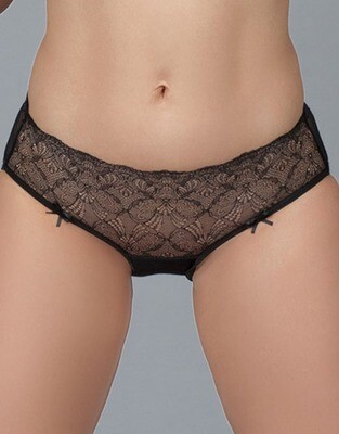 Sheer Luxury Lace and Tulle Panty