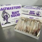 SQUID 5LB (WHT SQUID 5LB BOX)