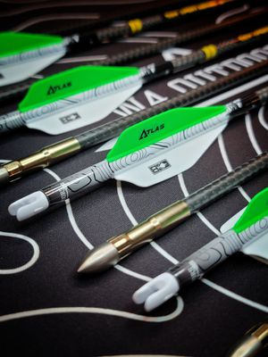 Hunting and Target Arrows