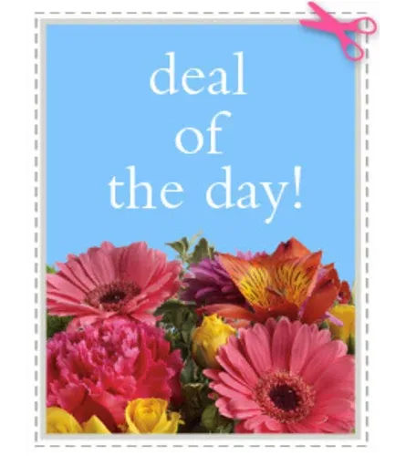 Deal Of The Day
