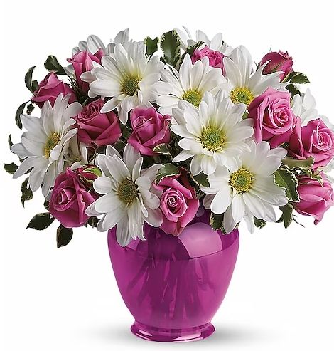 Pink Daisy Delight, Size: Standard