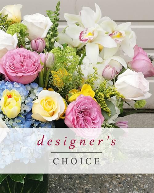 Designers Choice