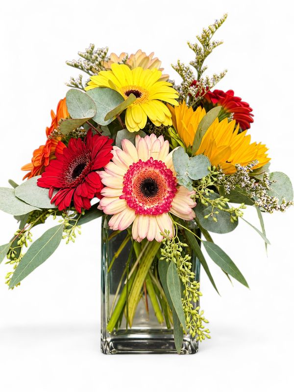 Gorgeous Gerbera's Gorgeous Gerbera's