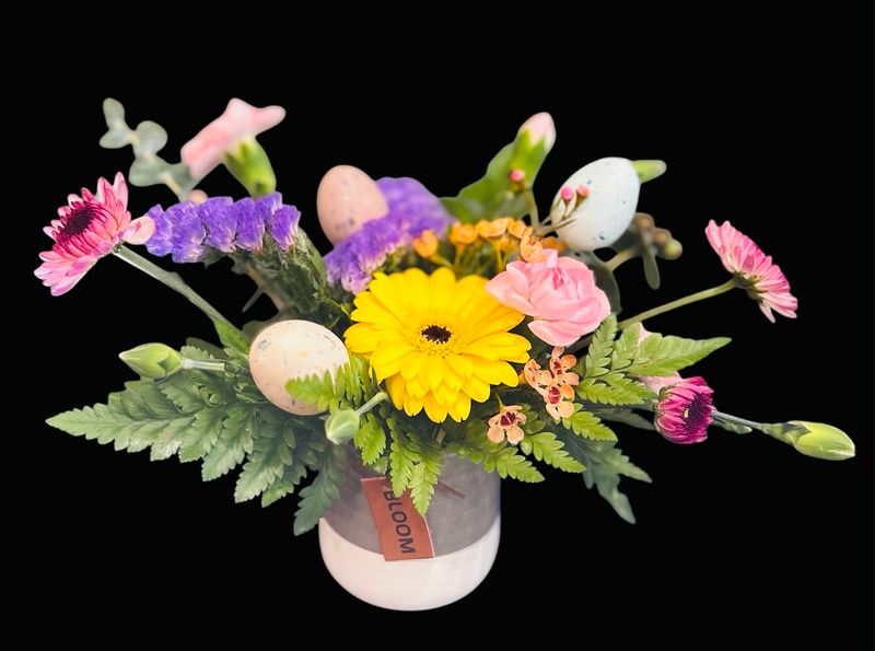 Cheer's To All You Do