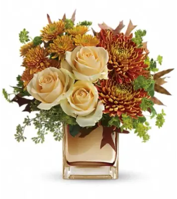 Autumn Romance