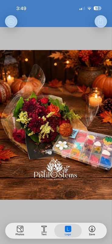 The Bloom Bundle + Snackle Tackle Candy Box 🍬🌸 The Bloom Bundle + Snackle Tackle Candy Box 🍬🌸