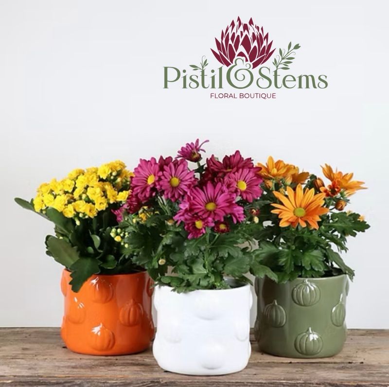 Bloom Fall Pots