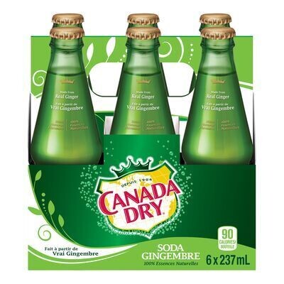 CANADA DRY Soda gingembre 6X237 ML