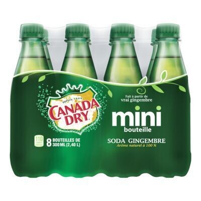 CANADA DRY Soda gingembre en mini bouteilles 8X300 ML