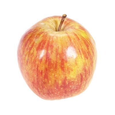 Pomme, Gala