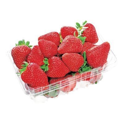 Fraises 454 G