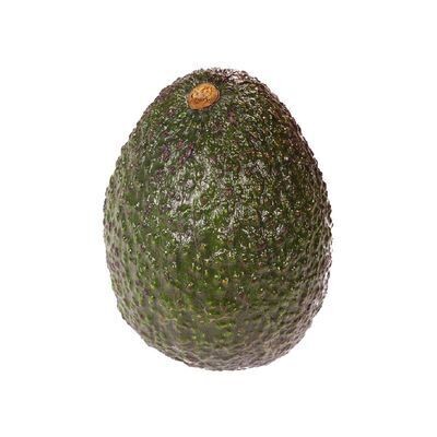 Avocat