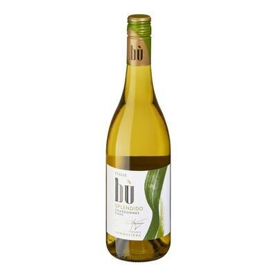 BÙ Vin blanc d&#39;Italie, Splendido 750 ML
