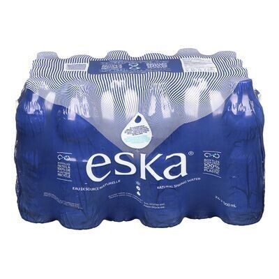 ESKA Eau de source naturelle 24X500 ML