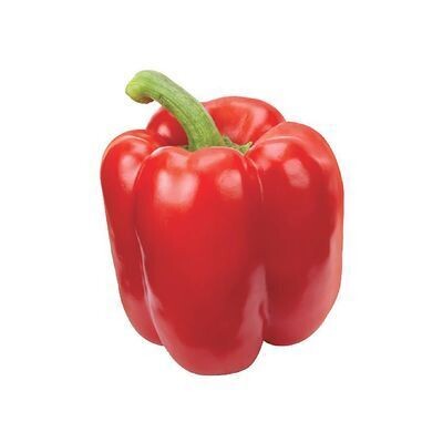 Poivron rouge de serre 300GR ENV. 13,21$/KG 5,99$/LB