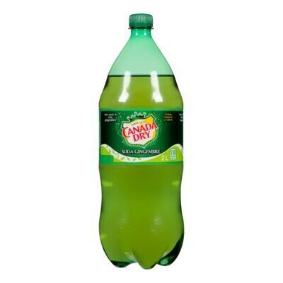 CANADA DRY Soda gingembre 2 L