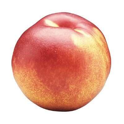 NECTARINE ENV 110 GR 8.80$/KG 3.99$/LB