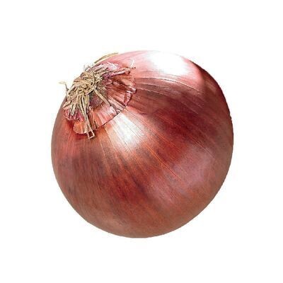 OIGNON ROUGE ENV. 300GR CHAQUE 8.80$/kg 3.99$/lb