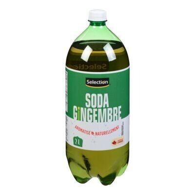 SELECTION Boisson gazeuse au gingembre 2 L