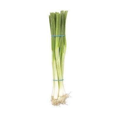 Oignons verts 1 BOTTE