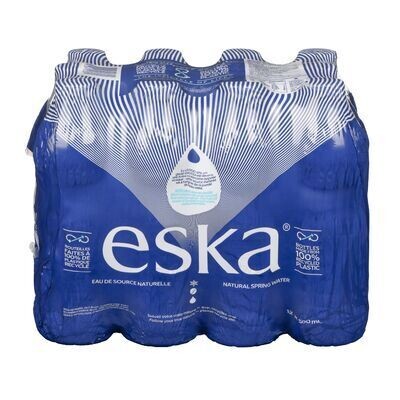 ESKA Eau de source naturelle 12X500 ML