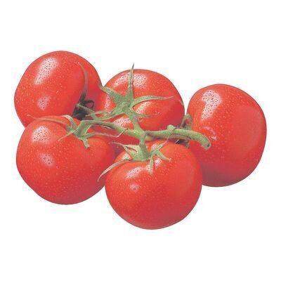 Tomates rouges en grappe vendu individuellement ENV. 155GR 7,69$/KILO 3,49$/LB