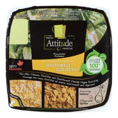 ATTITUDE FRAÎCHE Ensemble à salade sud-ouest 175 G