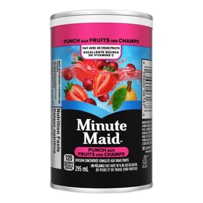 MINUTE MAID Boisson aux fruits des champs concentrée surgelée 295 mL