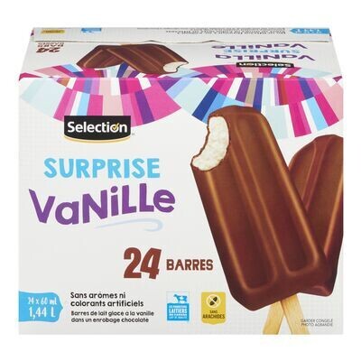 SELECTION Barres de lait glacé à la vanille enrobées de chocolat 24x60 mL