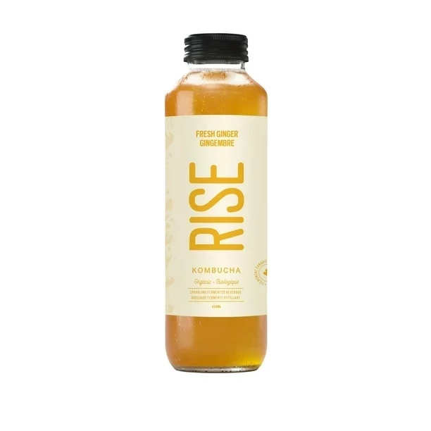 RISE KOMBUCHA Kombucha GINGEMBRE 414 ML