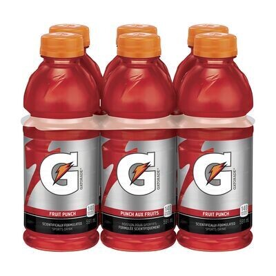 GATORADE Boisson désaltérante à saveur punch aux fruits™ 6X591 ML