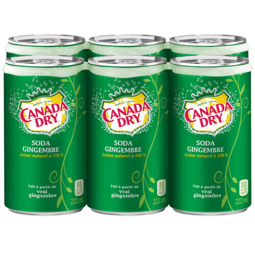 CANADA DRY Soda gingembre 6X222 ML