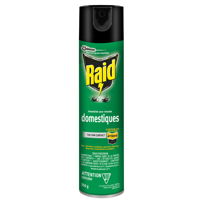 RAID INSECTICIDE MAISON DOMESTIQUE 350 GR