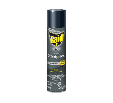 RAID INSECTICIDE EXTERMINATEUR D&#39;ARAIGNEE 350 G