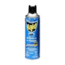 RAID INSECTICIDE TUE-GUEPES 400 G