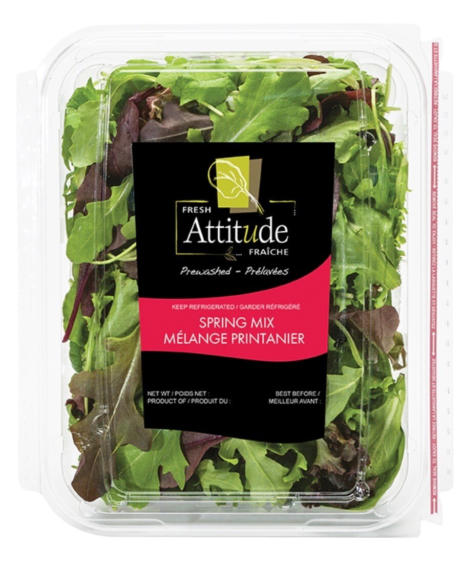 ATTITUDE SALADE MELANGE PRINTANIER 142GR