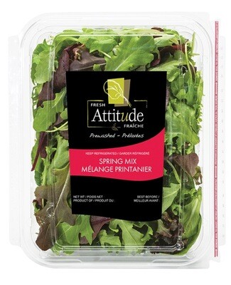 ATTITUDE SALADE MELANGE PRINTANIER 142GR