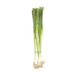 OIGNON VERT PRODUIT DU QUEBEC