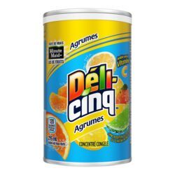 DELI-CINQ BOISSON SURGELÉE AUX AGRUMES 295ML