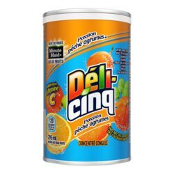 DELI-CINQ BOISSON SURGELÉE AUX AGRUMES ET PECHE 295ML