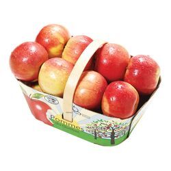 POMME JERSEY MAC PANIER QUEBEC 3 LITRES