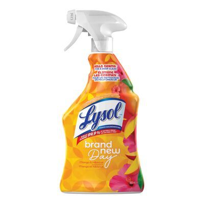 LYSOL NETTOYANT TOUT USAGE MANGUE HIBISCUS 650ML