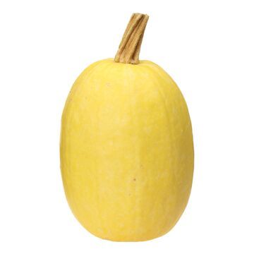COURGE SPAGHETTI QUEBEC ENV 1.66KG 3.28$/KG 1.49$/LB